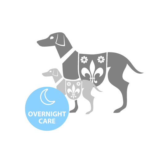 Overnight Care - Hundehotel