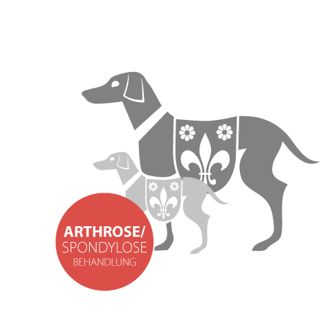 Arthrose & Spondylose Behandlung