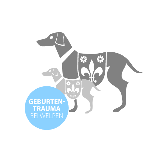 Geburtentrauma bei Welpen