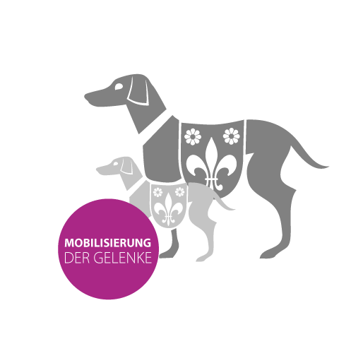 Mobilisierung der Gelenke