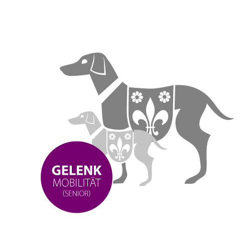 Gelenkmobilität Senior
