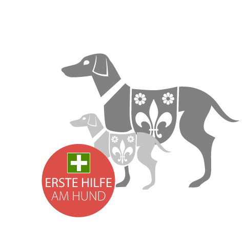 Erste Hilfe am Hund 22.09.2024 10:30 Uhr