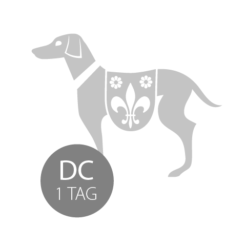 Tagespreise Hundetagesstätte